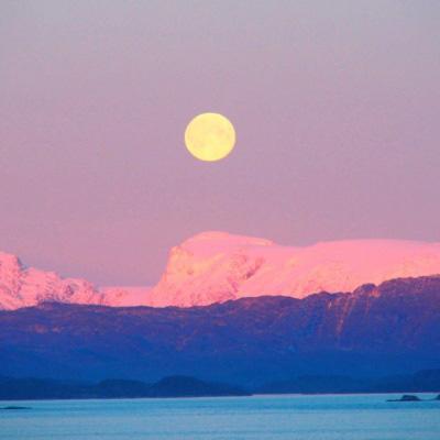 澳门4949资料免费大全下载手机版