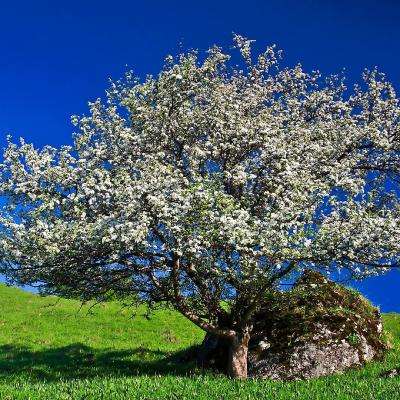 万博体育app下载官网