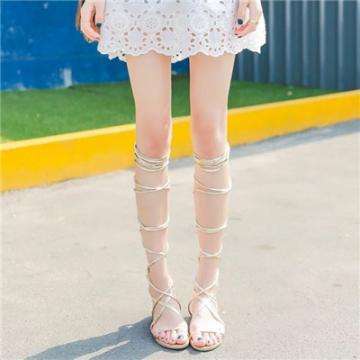 半导体育APP截图